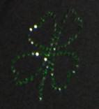 Kim McNelis Green sparkly shamrock shirt, St. Pat's Day, Writing Workshop #6 (3/17/08)